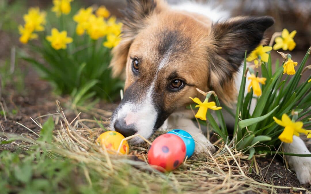 Frohe Ostern!