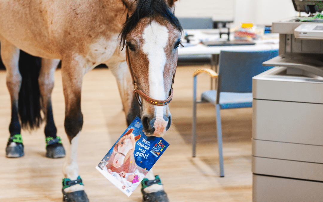 Wir suchen Unterstützung im Büro!