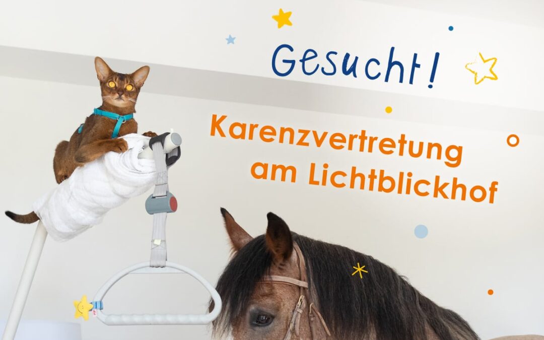 Karenzvertretung gesucht