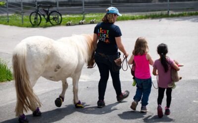 Lichtblickhof Children's hospice with animals