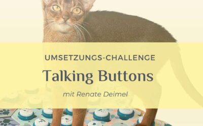 Talking Buttons – Deine Umsetzungschallenge für die Buttonkommunikation mit deiner Katze