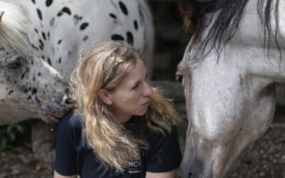 Einblicke die berühren