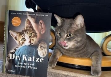 Dr. Katze gleich 2x in Servus TV