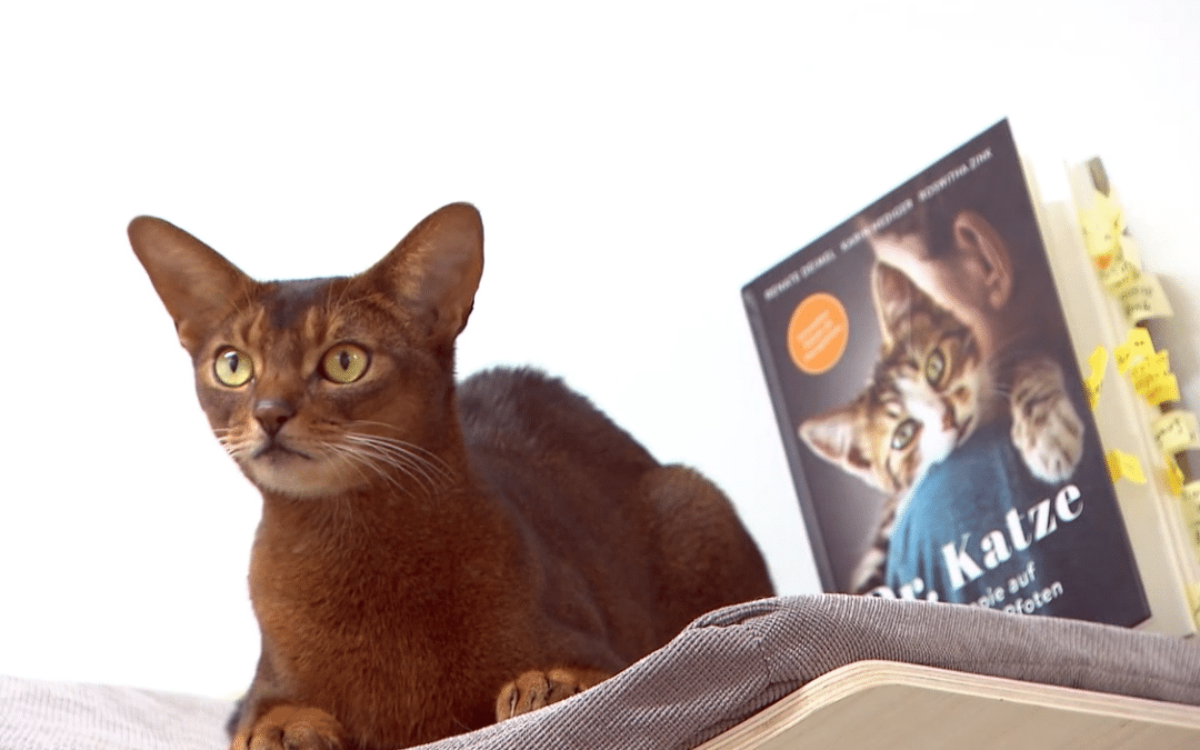 Roswitha Zink im ORF