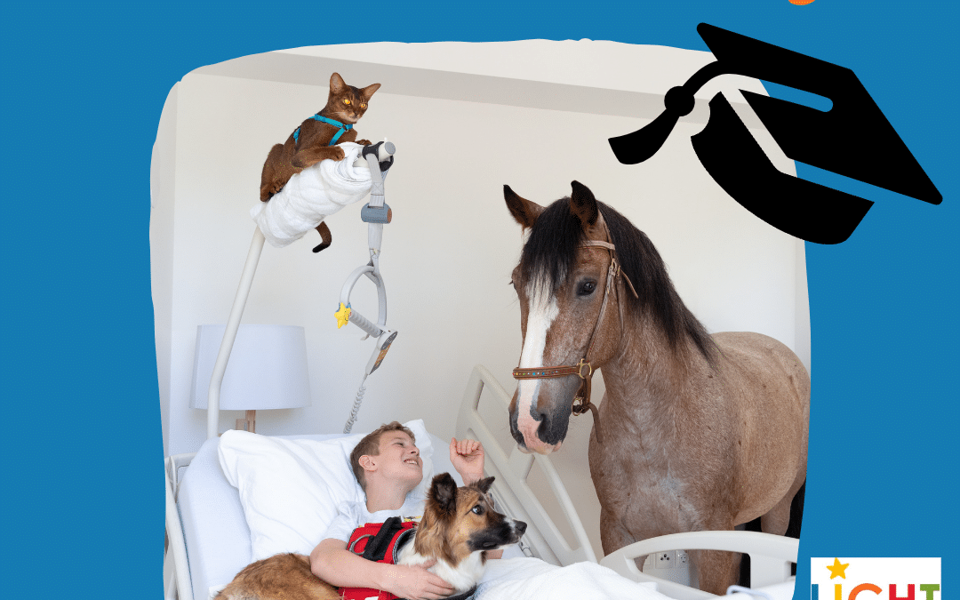 Abschlussarbeiten Package